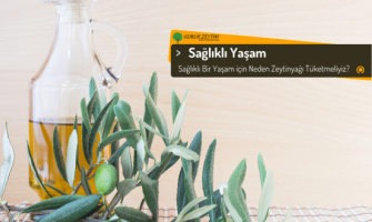 Sağlıklı Bir Yaşam için Neden Zeytinyağı Tüketmeliyiz?